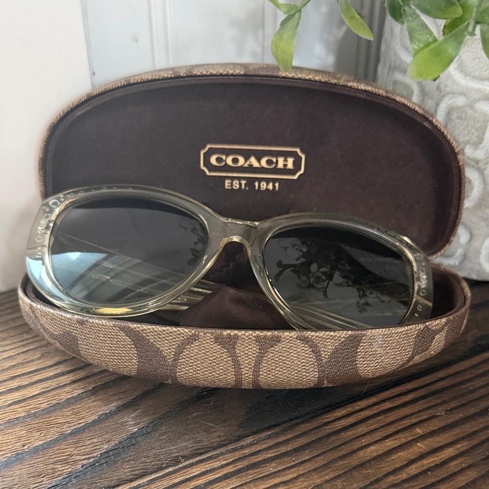 Coach Women's HC8162 HC/8162 Fashion Cat Eye Sunglasses